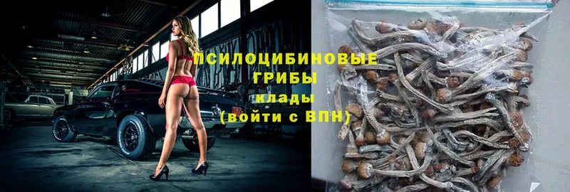 Псилоцибиновые грибы MAGIC MUSHROOMS  что такое наркотик  Чебоксары 